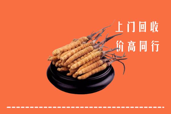 高价求购：通城回收散虫草