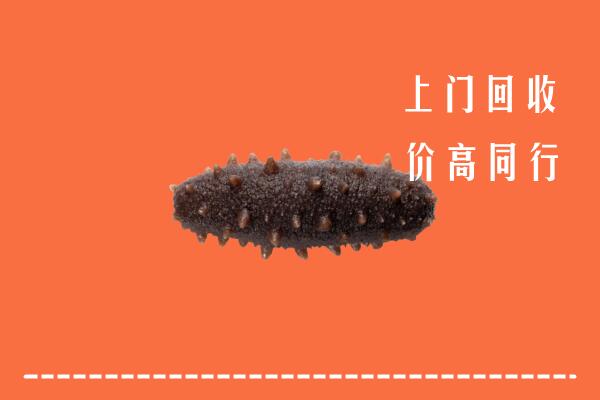 高价求购：通城回收海参