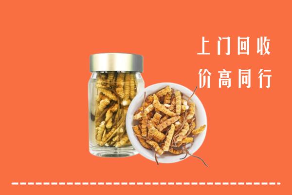 通城回收冬虫夏草