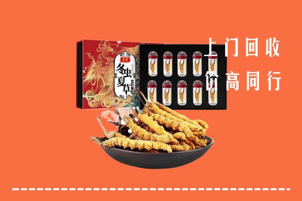 通城回收虫草